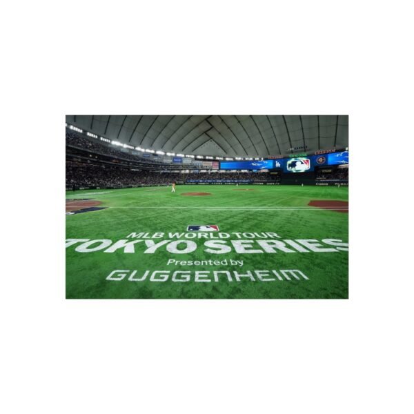 Tokyo Dome Fine Art Posters
