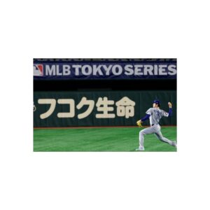 Tokyo Dome Fine Art Posters