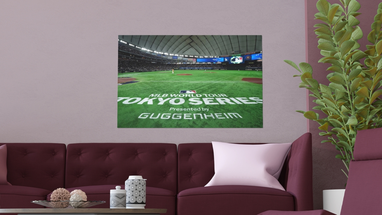 10357955525847950362_2048