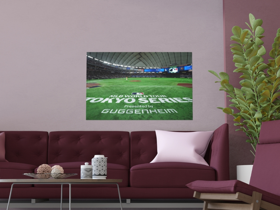 10357955525847950362_2048